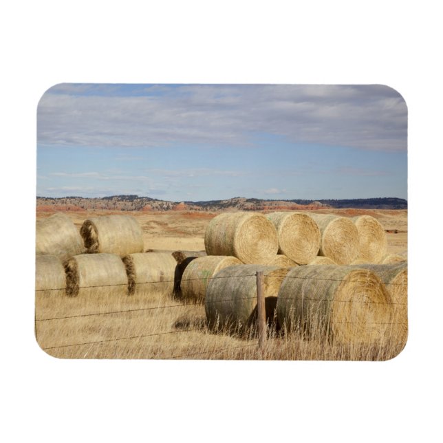 Crook County höbaler 2 Magnet (Horisontell)