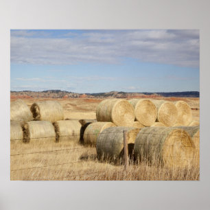 Crook County höbaler 2 Poster