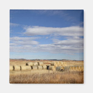 Crook County höbaler Magnet