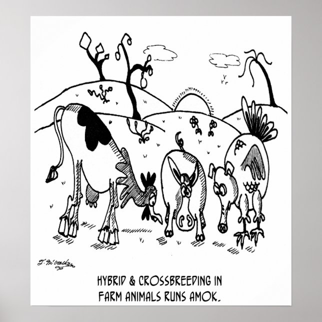 Crossavel Springa Amok Poster (Framsidan)