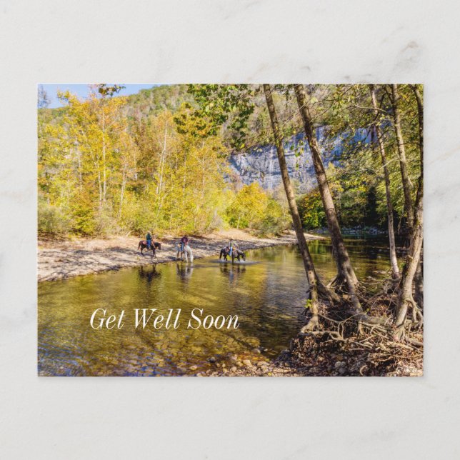 Crossing The Buffalo River Get Well Postcard Vykort (Framsida)