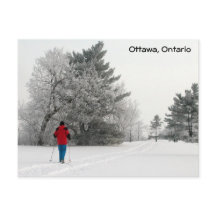 crosst country skidåkning på en Frosty Day