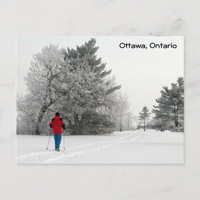 crosst country skidåkning på en Frosty Day Vykort (Framsida)