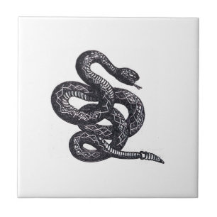 Crotalus Cascavella Orm (Giftig Gropviper) Kakelplatta