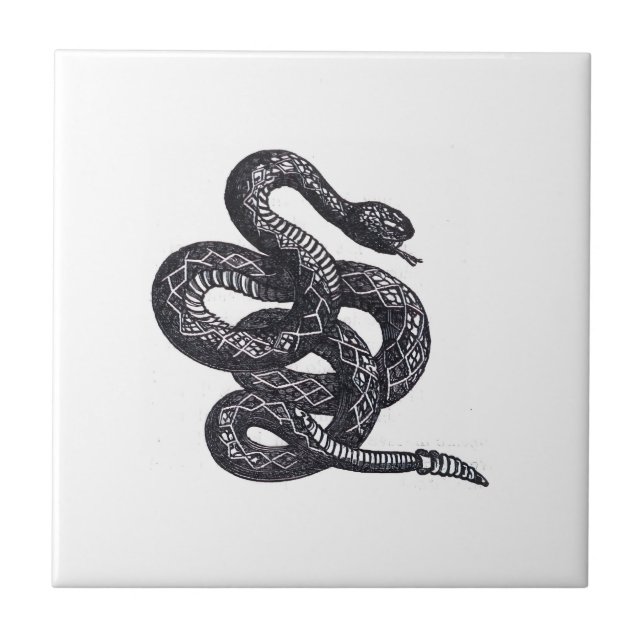 Crotalus Cascavella Orm (Giftig Gropviper) Kakelplatta (Framsidan)
