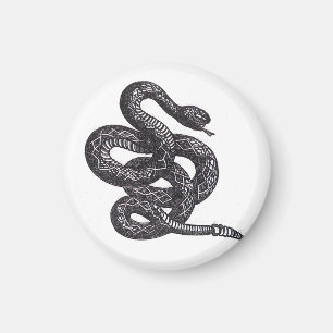 Crotalus Cascavella Orm (Giftig Gropviper) Magnet