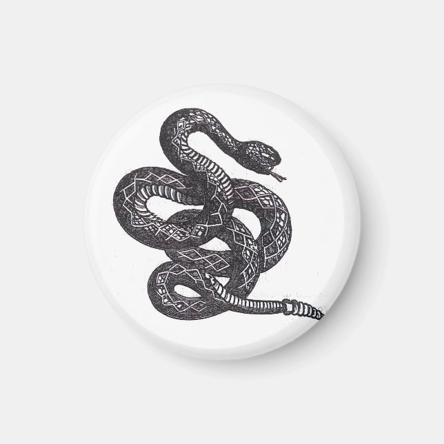 Crotalus Cascavella Orm (Giftig Gropviper) Magnet (Framsidan)