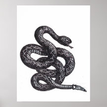 Crotalus Cascavella Orm (Giftig Gropviper)