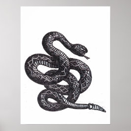 Crotalus Cascavella Orm (Giftig Gropviper) Poster