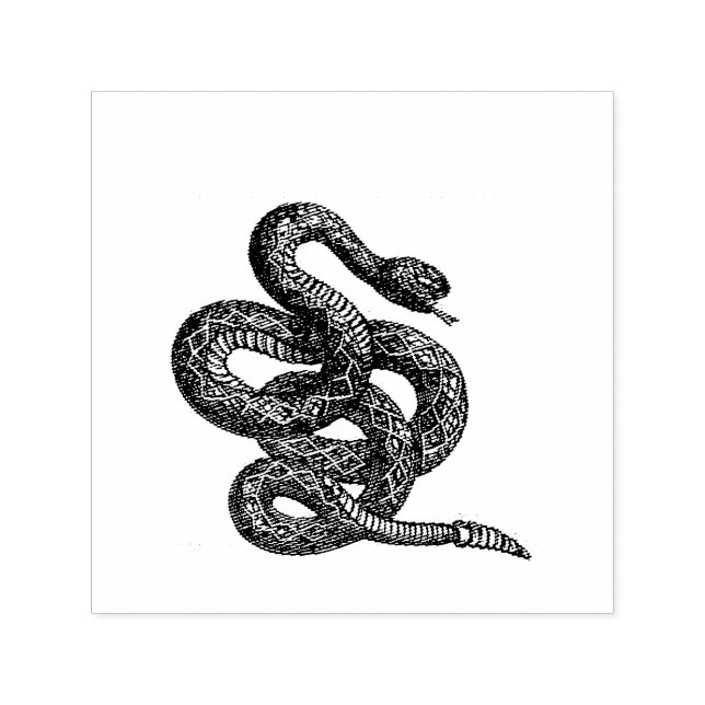 Crotalus Cascavella Orm (Giftig Gropviper) Självfärgande Stämpel (Design)