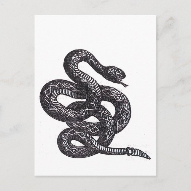 Crotalus Cascavella Orm (Giftig Gropviper) Vykort (Framsida)
