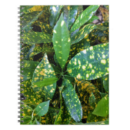 Croton Plant Anteckningsbok Med Spiral