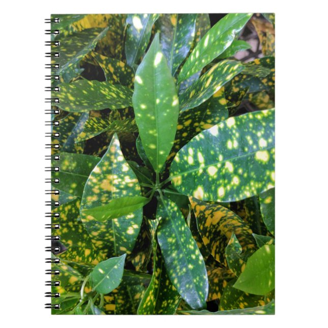 Croton Plant Anteckningsbok Med Spiral (Framsidan)