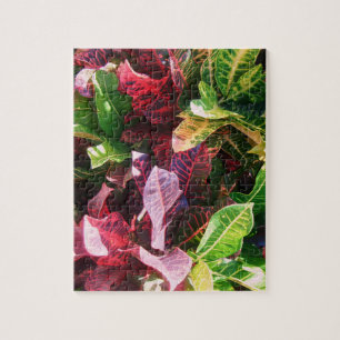 *Croton*pussel Pussel