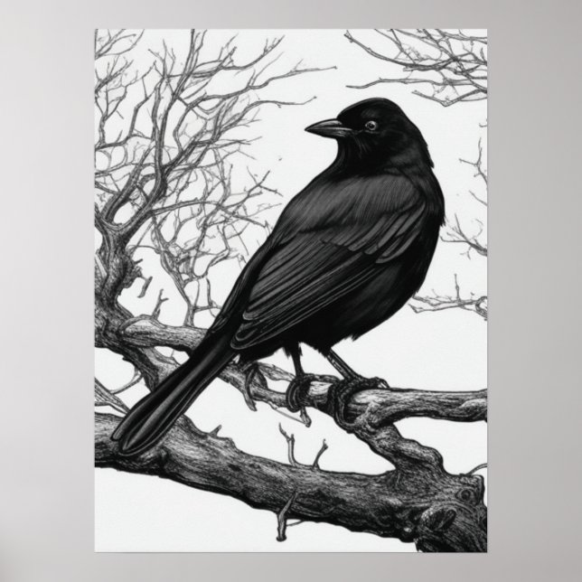 Crow Perched on Bare Winter Branches Poster (Framsidan)