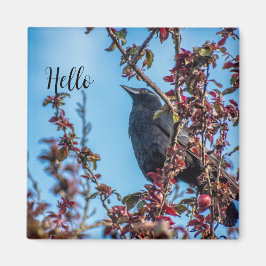 Crow Says Hello  Magnet