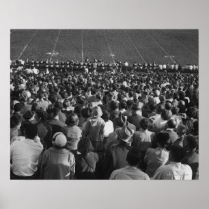 Crowd på stadion poster