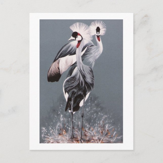 Crowned Cranes Vykort (Framsida)