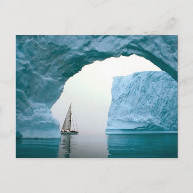 Cruising Antarctica Vykort (Framsida)