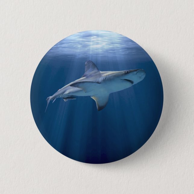 Cruising Shark Knapp (Framsida)
