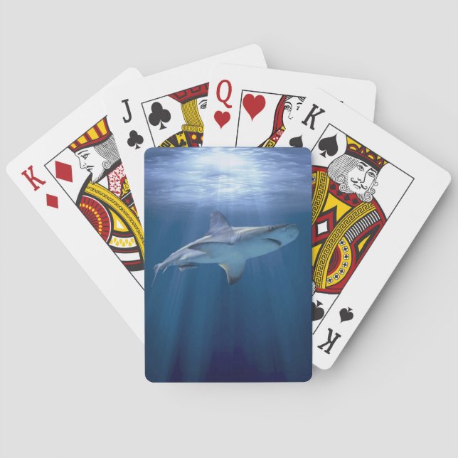 Cruising Shark Spel Kort (Baksidan)