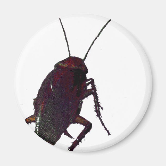 Crunchy Cockroach Magnet (Framsidan)