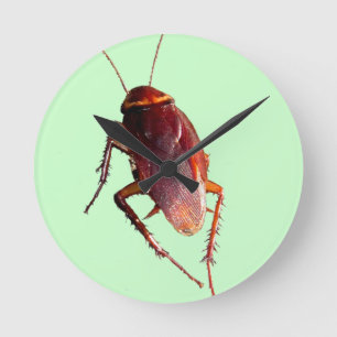 Crunchy Cockroach Rund Klocka
