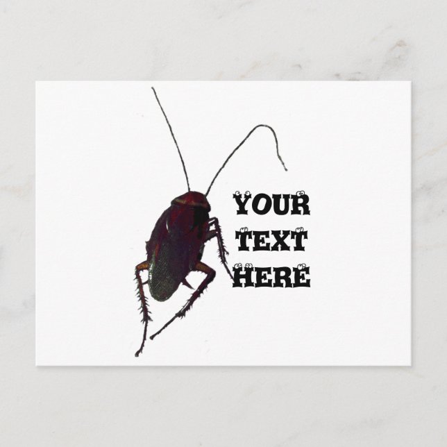 Crunchy Cockroach Vykort (Framsida)