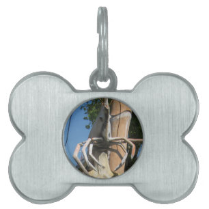 Crustacean AKA Lobster Head ... Buddhist helvetet ID-bricka Husdjur