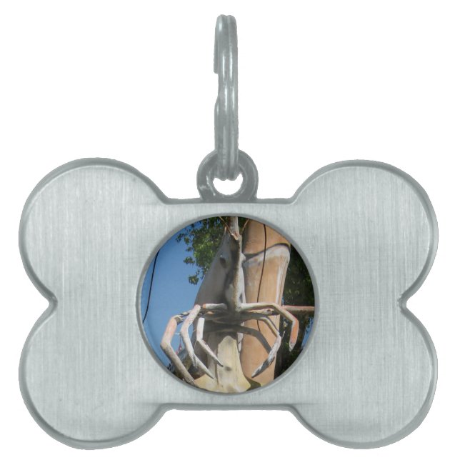 Crustacean AKA Lobster Head ... Buddhist helvetet ID-bricka Husdjur (Framsidan)