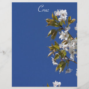 Cruz Blommar Letterhead