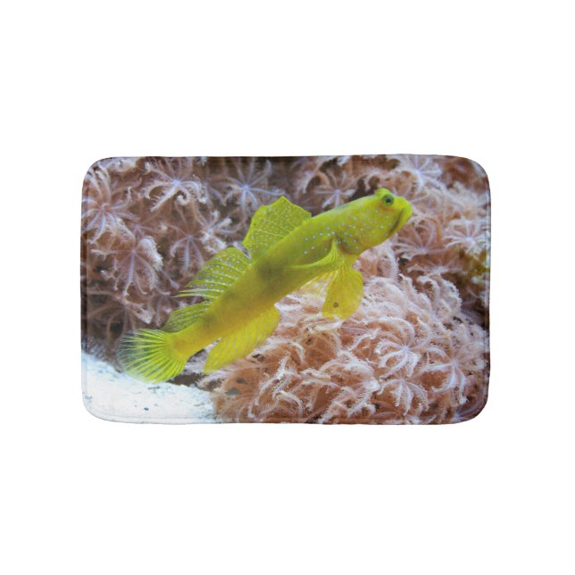 Cryptocentrus cinctus badrumsmatta (Framsidan)