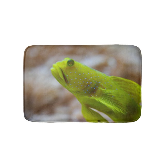 Cryptocentrus cinctus badrumsmatta (Framsidan)