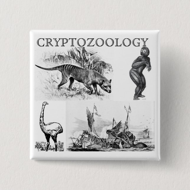 cryptozoologyen kvadrerar knäppas/klämmer fast knapp (Framsida)