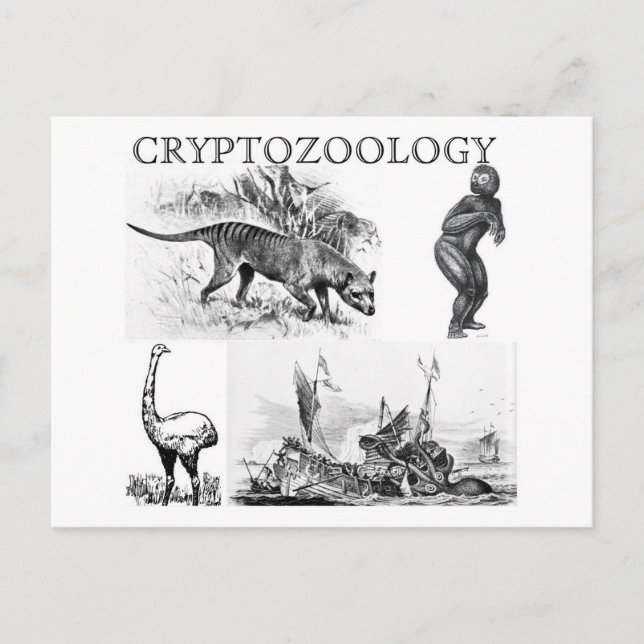 cryptozoologyvykort vykort (Framsida)