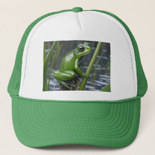 "Crystal Clarity: Grönt Glass Frog on River Reeds" Keps