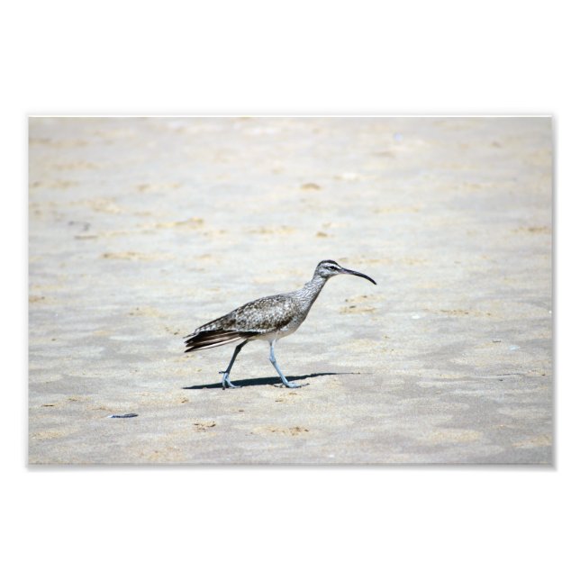 Crystal Cove State Park Fototryck (Framsidan)