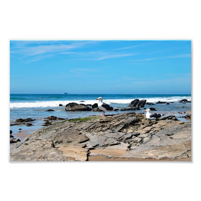 Crystal Cove State Park Fototryck (Framsidan)