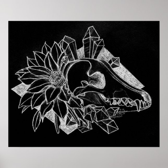 Crystal Coyote Inverterad  Poster (Framsidan)
