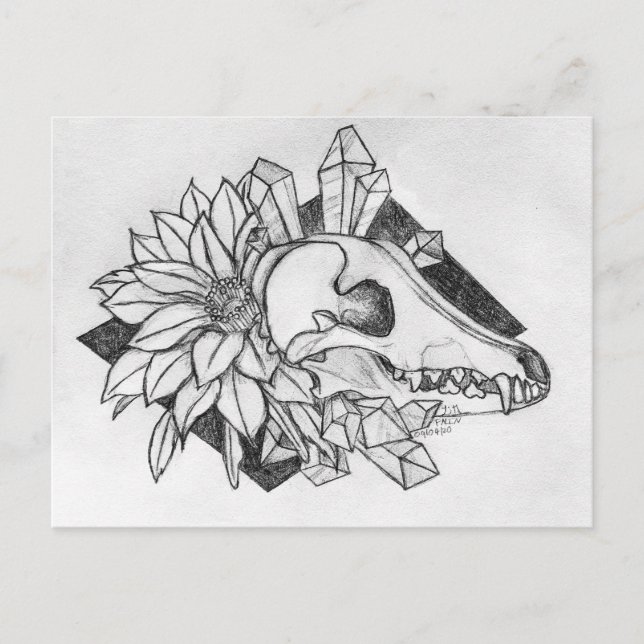 Crystal Coyote Vykort (Framsida)