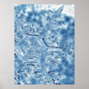 Crystal FractalSnowflake för djupfryst is Poster