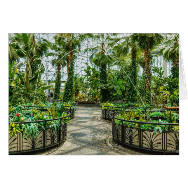 Crystal Gardens Leap Fontän OBS Kort (Framsidan Horizontal)