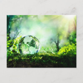 Crystal globe i en grönt skog vykort