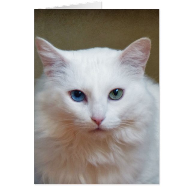 Crystal Hälsningskort (Framsidan)