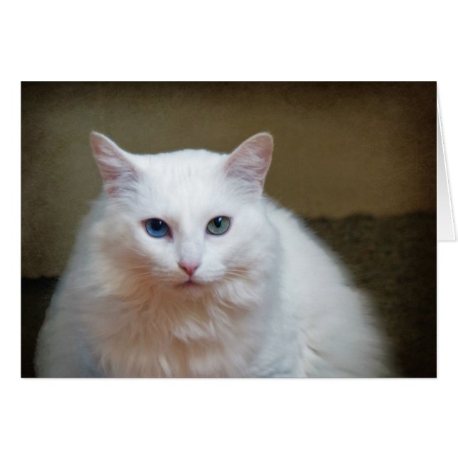 Crystal Hälsningskort (Framsidan Horizontal)