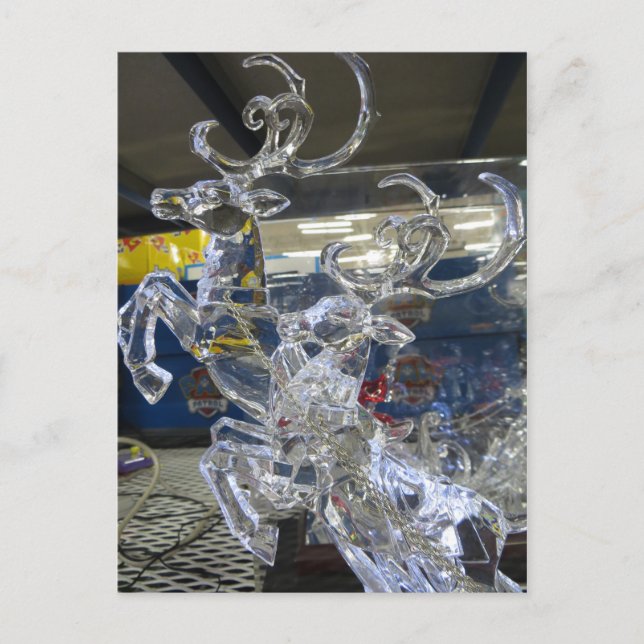 Crystal Hjort Vykort (Framsida)