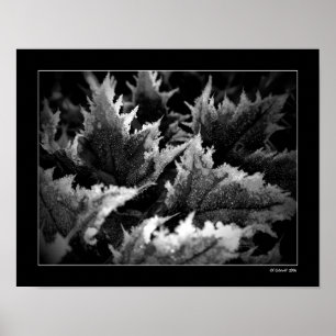 Crystal morgon poster