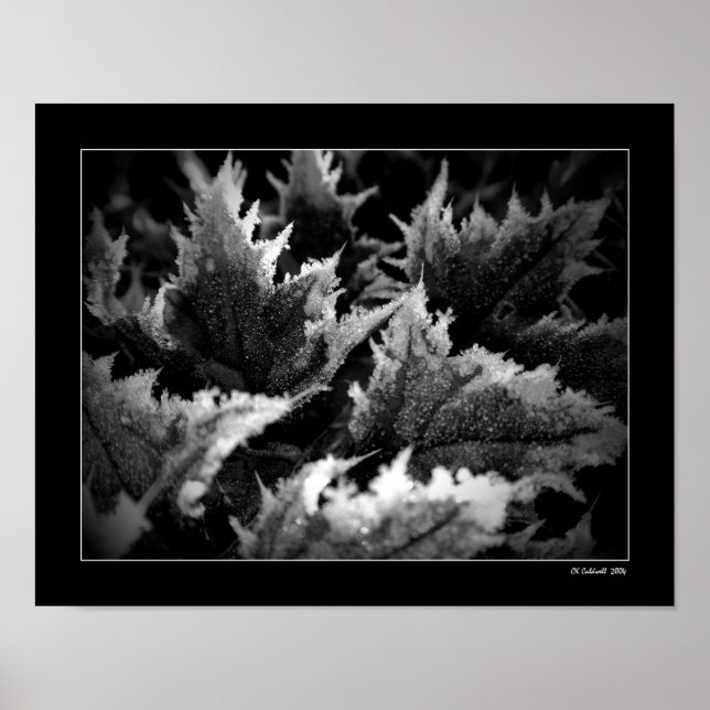 Crystal Morgon Poster (Framsidan)