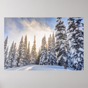 Crystal Mountain Ski Resort, nära Mt Rainier 1 Poster