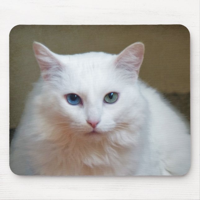 Crystal Musmatta (Framsidan)